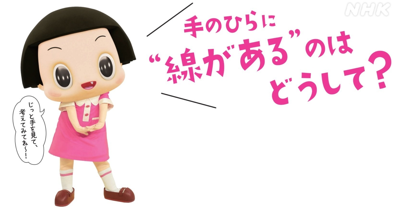 チコちゃん 永楽 盃 3点 チコちゃんの脳活研究所【買取価格】｜ゲオの宅配買取