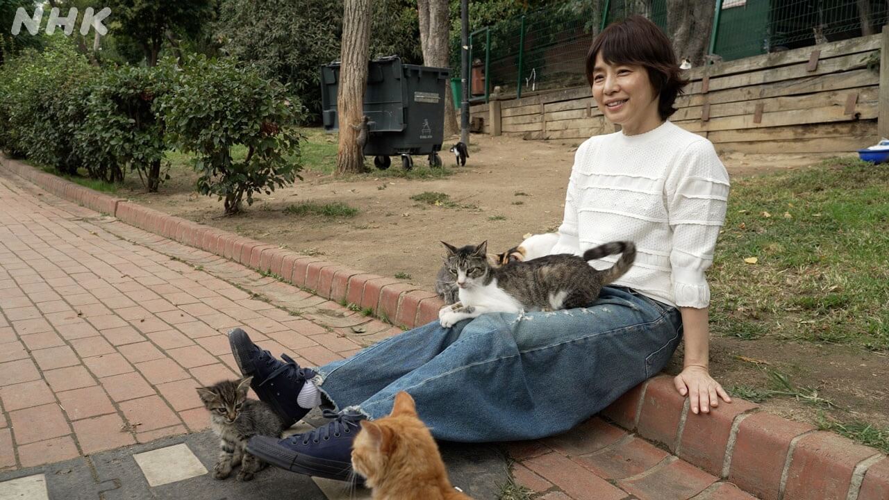 「石田ゆり子 世界の犬と猫を抱きしめる～トルコ編」大人気の体感紀行 第3弾！「私の素をさらけ出して奮闘しております」