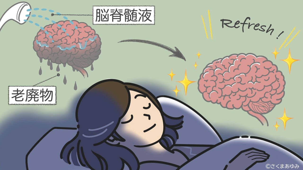 ベストセラー『科学的に証明された すごい習慣大百科』の著者・堀田秀吾さん解説「睡眠で脳の“ごみ”を洗い流す」――認知症リスクを下げる休養の新常識